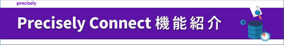 Precisely Connect 機能詳細
